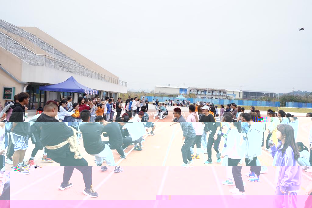 拔河比賽現場