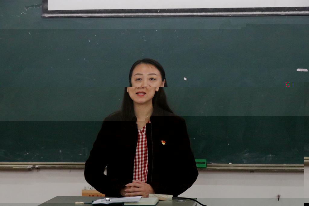 何婷書記講話