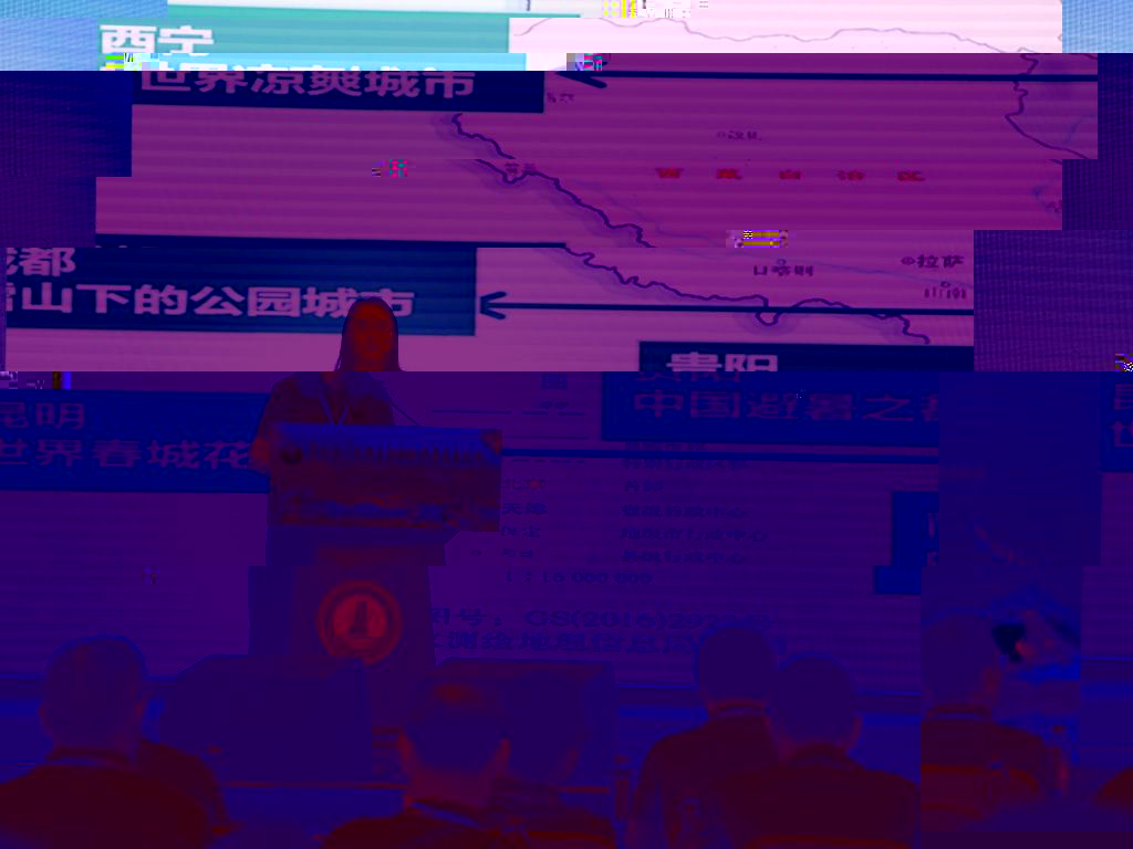 圖為李甯老師作報告現場